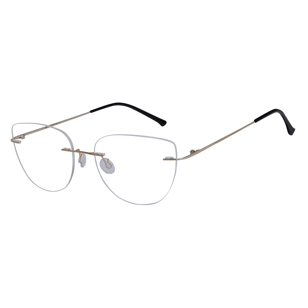 Óculos de titanium feminino 689